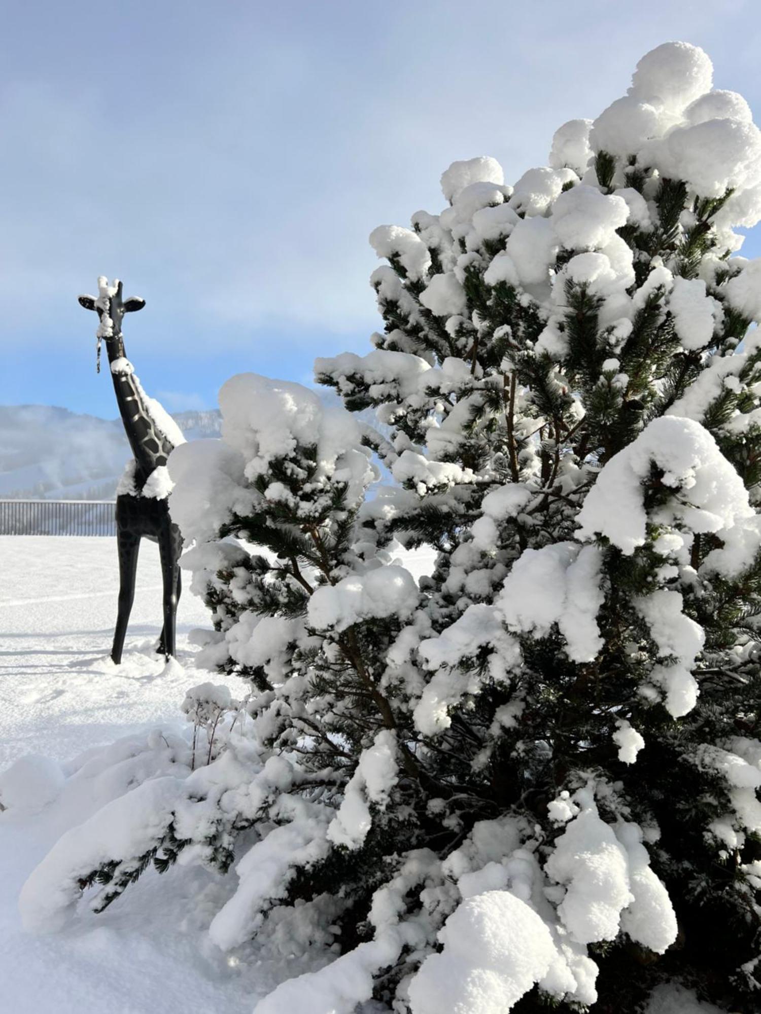 Hotel Lech Da Sompunt バディーア エクステリア 写真