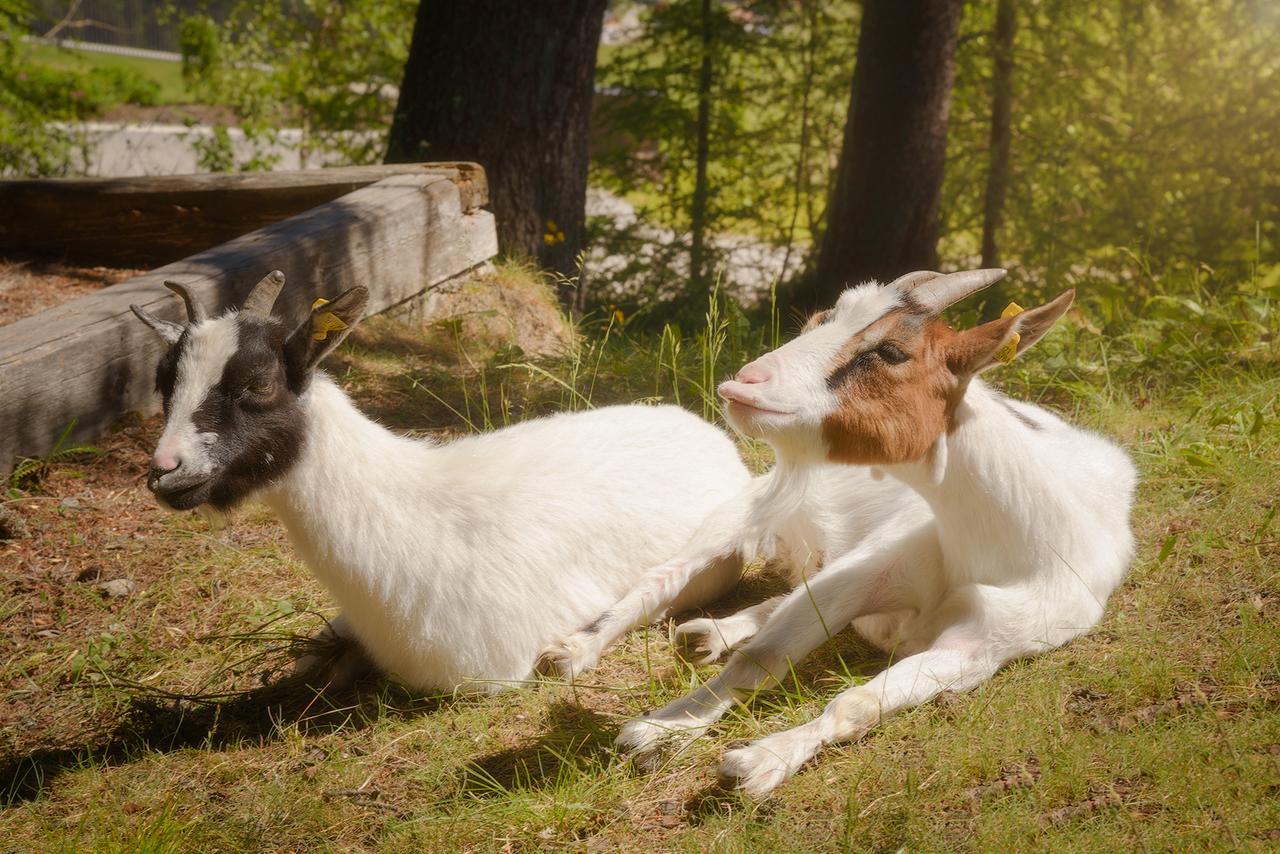 Hotel Lech Da Sompunt バディーア エクステリア 写真