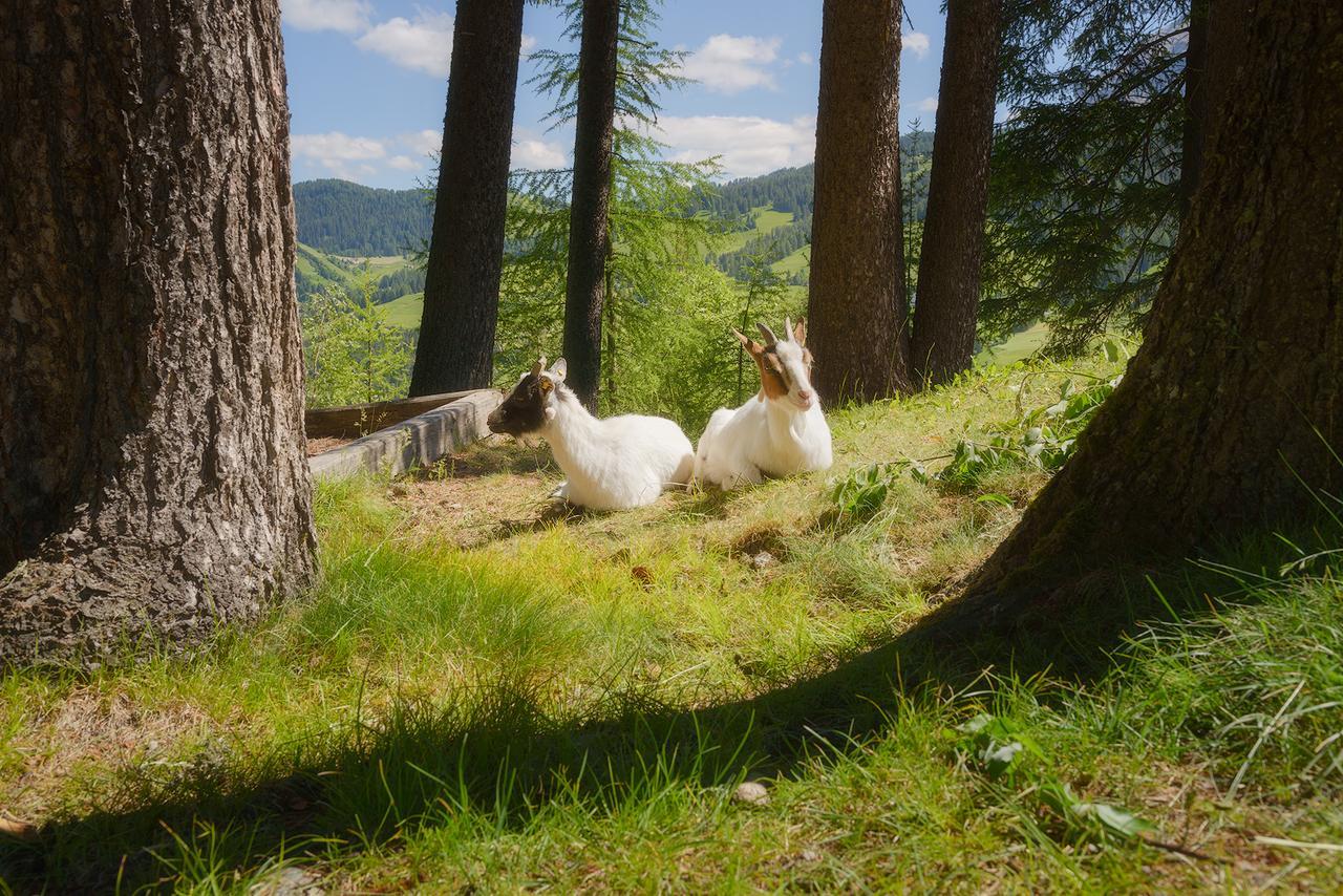 Hotel Lech Da Sompunt バディーア エクステリア 写真